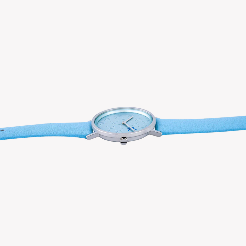 Pierre Cardin Women's Blue Leather Watch, Silver Case | Cbv.1521-2