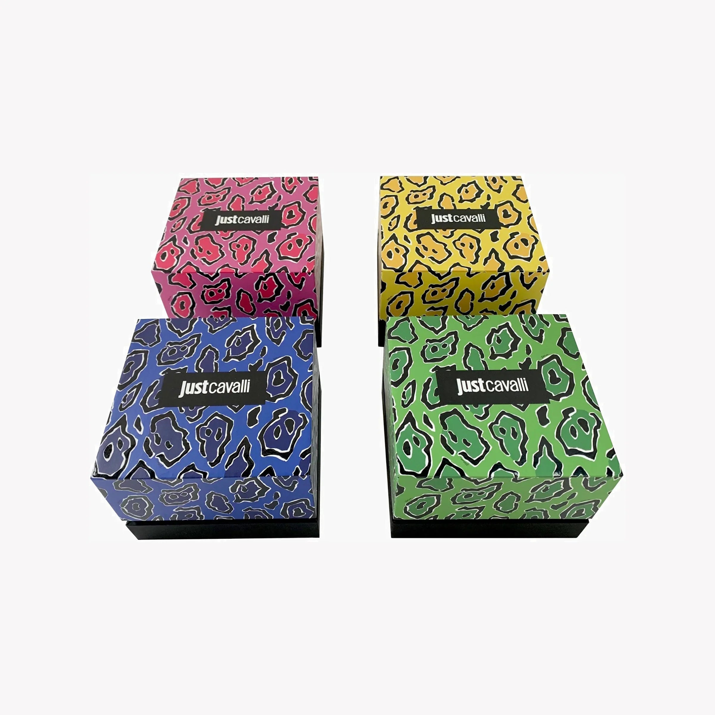 Just Cavalli Women's Silver Watch, Elegant Design | Jc1l206m0015-3